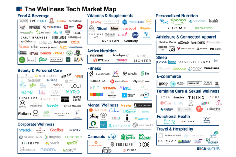 Wellness tech market overview